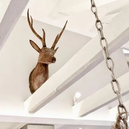 Maisonette Mit Sauna Daire Braunlage